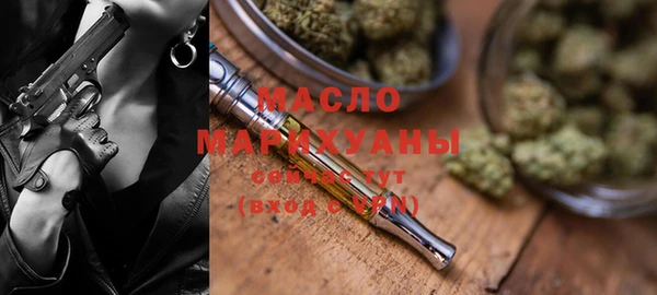 индика Аркадак
