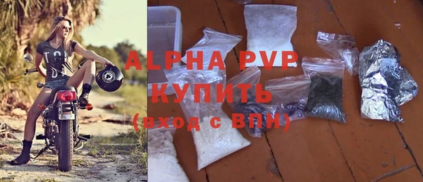 индика Аркадак