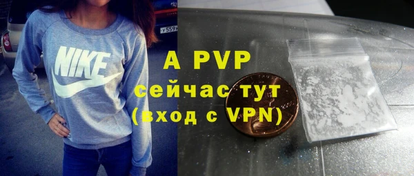 индика Аркадак