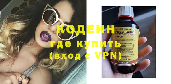 индика Аркадак